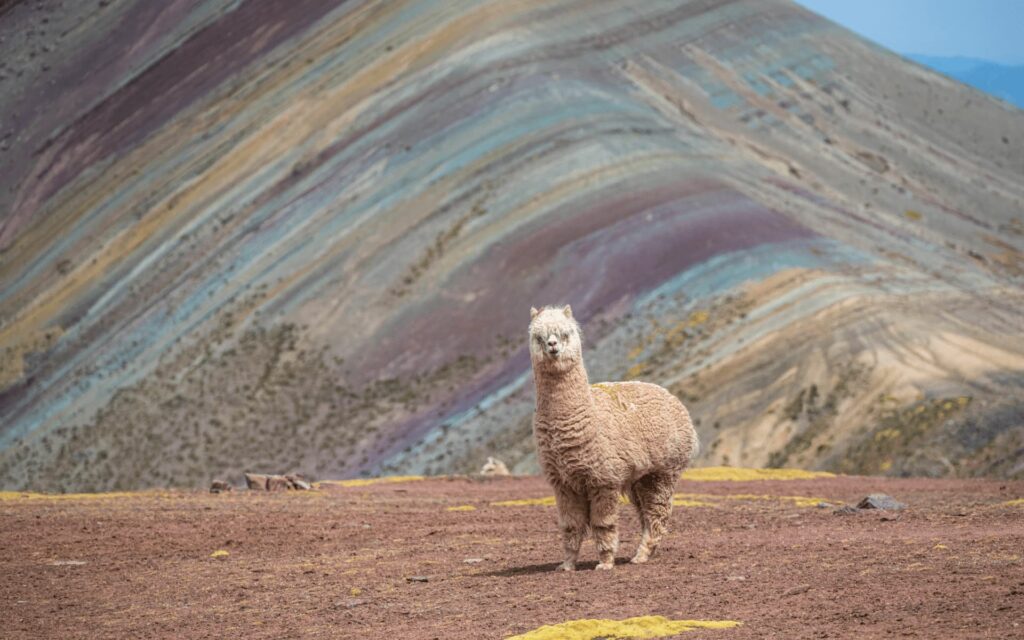 Palccoyo Rainbow Mountain